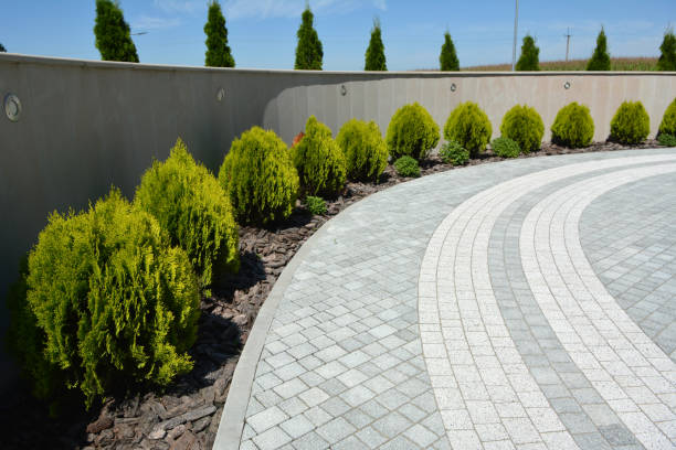 Best Residential Driveway Paver Services  in White Pigeon, MI